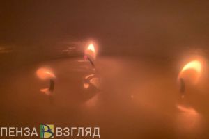 Пензенских народных целителей планируют внести в единый регистр