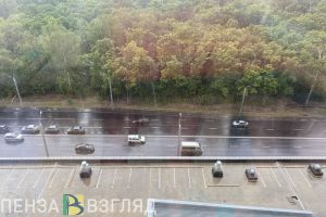 2 ноября в Пензенской области ожидается дождь и мощные порывы ветра