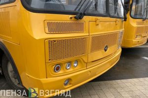 В Пачелме пожаловались на проблемы с доступностью больницы