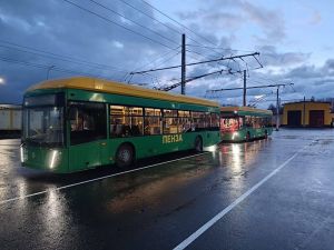В Засечном начало работать троллейбусное депо