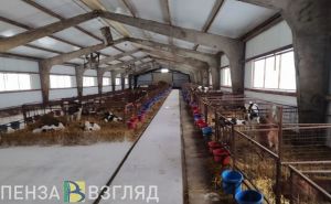 В Пензенской области выявили фантомное производство