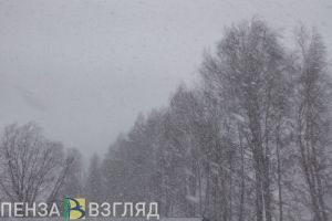 Жителей Центральной России предупреждают об «арктическом вторжении»