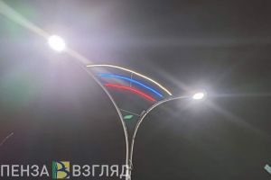 В Пензе назвали стоимость отключения праздничной иллюминации к 4 ноября