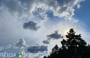 Рядом с пензенской трассой заметили парапланеристов