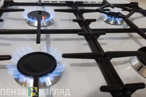 В пензенских центрах «Мои документы» можно подать заявку на догазификацию