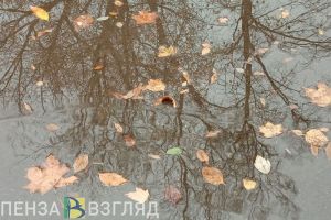 Жителям Пензенской области рассказали о погоде 30 октября