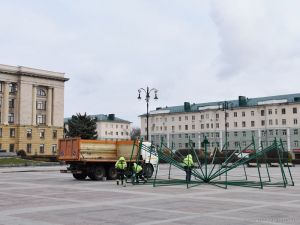 Главную елку Пензы украсят 975 шаров