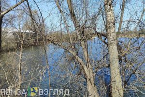 После прогулки у реки житель Кузнецка может сесть в тюрьму на 10 лет
