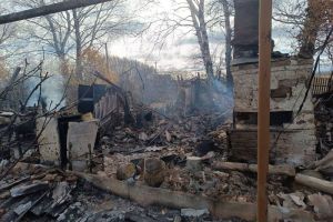 В поселке Башмаковского района обнаружили останки женщины