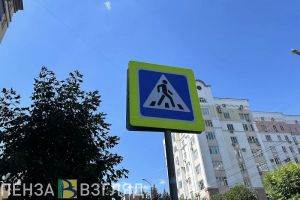 В Спасске водитель грузового автомобиля наехал на женщину-пешехода