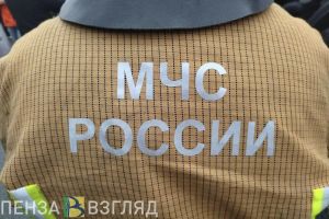 Пожар на улице Дарвина в Пензе унес жизнь женщины