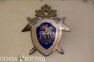 Следком проверит информацию о нападении собаки на ребенка в Грабово