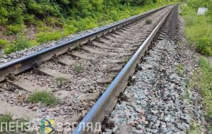 Из Пензенской области экспортируют семена льна, горчицы и расторопши
