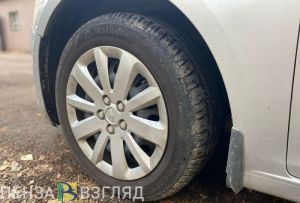Прокуратура заинтересовалась пензенцем, перевозившим тигра в машине