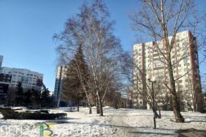Синоптик Тишковец дал прогноз на погоду зимой в Центральной России