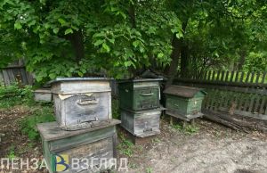 В Пензенской области выявлены нарушения при применении пестицидов