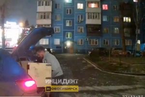 В пензенскую прокуратуру поступила жалоба на блогера, перевозившего тигренка