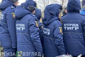 В Пензенской области «Тигры» почти 11 000 раз выходили на дежурства