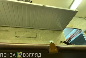 Деструктивный пассажир: в Пензе поймали волгоградца, укравшего чемодан в поезде