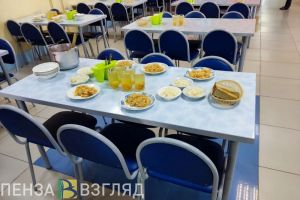 Учеников начальных классов Заречного обеспечат бесплатным двухразовым питанием