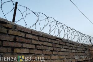 Вынесен приговор пензенцу, сбившему насмерть женщину на улице Кижеватова