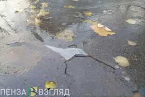 Водителей Пензенской области попросили в четверг не пользоваться личными авто