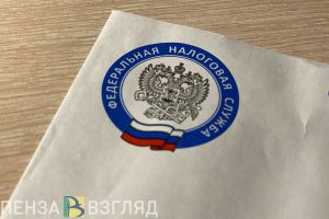 Жителей Пензенской области призвали заплатить «детские» налоги