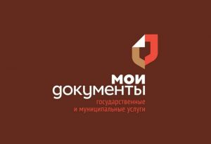 За 10 месяцев в центрах «Мои документы» пензенцы получили 1,2 млн услуг