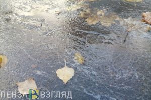 Погодные условия в Пензенской области ухудшатся 17 ноября