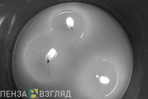 Скончалась заслуженная артистка РСФСР Светлана Светличная
