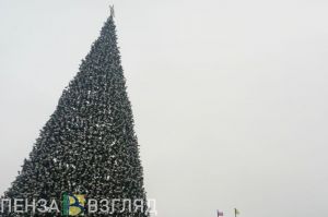 В Пензе завершилась установка главной елки