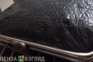 Названа категория пензенцев, у которой вырастет зарплата