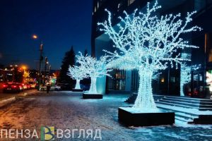 Предприятия торговли в Пензе обязали обеспечить новогоднюю атмосферу
