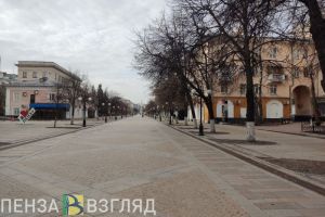 За 3 квартала 2024 года население Пензенской области уменьшилось на 8673 жителя