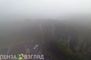 В ближайшие 3 часа в Пензенской области ожидается сильный туман