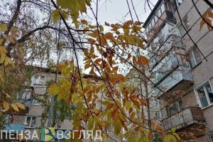 20 ноября в Пензенской области ожидается усиление ветра