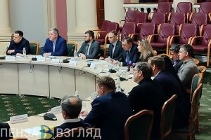 В Пензенской области может появиться садовый парк «Фэнхуан»
