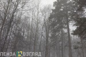 Пензенцам обещают снег и сносящий с ног ветер 21 ноября