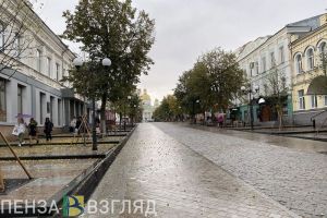 21 ноября в Пензенской области ожидаются мощные порывы ветра