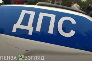 Водитель с психическим расстройством избил пензенского сотрудника ДПС