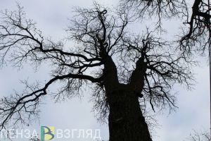 В Пензенской области объявлено штормовое предупреждение