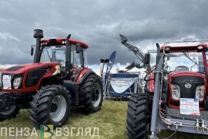 Пензенская область на 2 месте в ПФО по валовому сбору сахарной свеклы