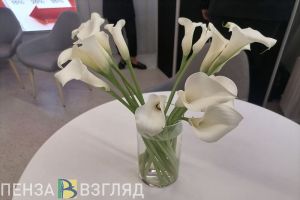 Жители Пензенской области могут лишиться денег, получая подарки