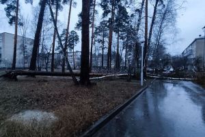 Над Пензой и пригородами ночью промчался ураган