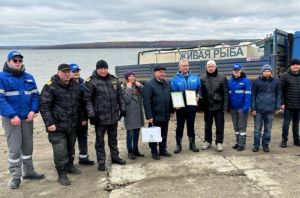 В Пензенской области за год выпустили 9,7 тонны рыбы в Сурское водохранилище