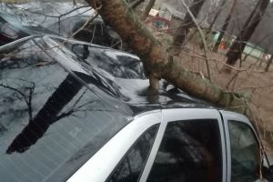 На субботу в Пензенской области объявлено штормовое предупреждение