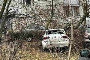 В Заречном поваленное ветром дерево придавило иномарку