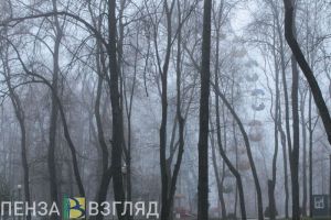 В воскресенье в Пензенской области ожидается мокрый снег и сильный ветер