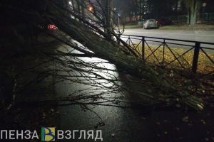 С оранжевого на желтый: в Пензенской области объявили о новом уровне опасности