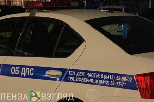 На федеральной трассе в Пензенской области автомобиль врезался в стадо овец